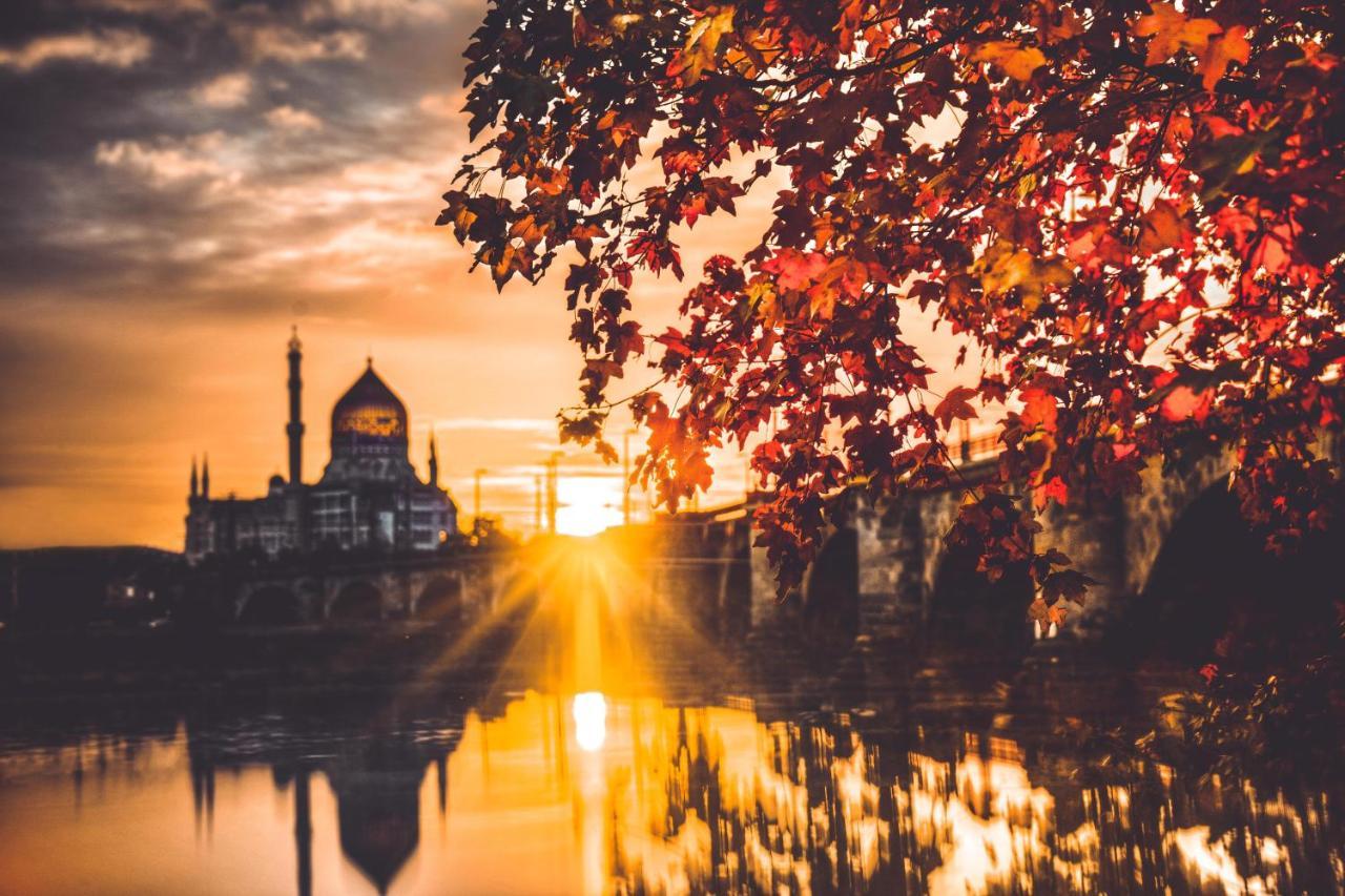 Gaestezimmer In Dresden Mit Dach-Terrasse, Wohnbereich Und Kueche Lejlighed Eksteriør billede